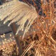 ヒメ日記 2025/12/18 15:36 投稿 なつき 新潟市鳥屋野潟ちゃんこ