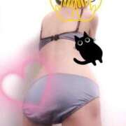 ヒメ日記 2025/12/19 13:46 投稿 なつき 新潟市鳥屋野潟ちゃんこ