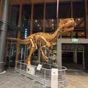 ヒメ日記 2025/08/19 00:54 投稿 れいん チューリップ福井本館