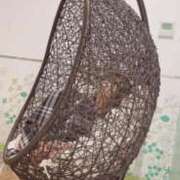 ヒメ日記 2025/08/19 21:16 投稿 れいん チューリップ福井本館