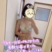 ヒメ日記 2025/08/26 04:05 投稿 アユム 姫路ラビット