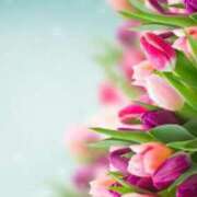 ヒメ日記 2025/10/19 01:30 投稿 かんな 横浜人妻ヒットパレード（シンデレラグループ）