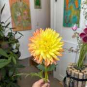 ヒメ日記 2025/10/19 09:01 投稿 かんな 横浜人妻ヒットパレード（シンデレラグループ）