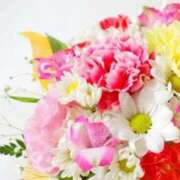 ヒメ日記 2025/10/27 12:33 投稿 かんな 横浜人妻ヒットパレード（シンデレラグループ）