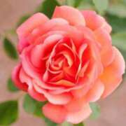 ヒメ日記 2025/11/10 00:51 投稿 かんな 横浜人妻ヒットパレード（シンデレラグループ）