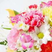 ヒメ日記 2025/11/19 01:47 投稿 かんな 横浜人妻ヒットパレード（シンデレラグループ）