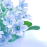 ヒメ日記 2025/11/24 23:15 投稿 かんな 横浜人妻ヒットパレード（シンデレラグループ）