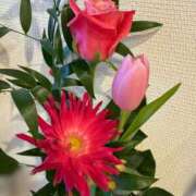 ヒメ日記 2025/12/22 00:58 投稿 かんな 横浜人妻ヒットパレード（シンデレラグループ）