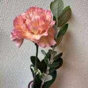 ヒメ日記 2025/12/23 12:01 投稿 かんな 横浜人妻ヒットパレード（シンデレラグループ）