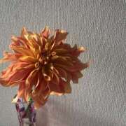 ヒメ日記 2025/12/31 12:02 投稿 かんな 横浜人妻ヒットパレード（シンデレラグループ）