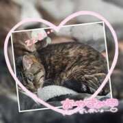 ヒメ日記 2026/03/16 18:34 投稿 綾瀬ゆう 五十路マダム 浜松店(カサブランカグループ)