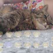 綾瀬ゆう 5月の出勤予定☆ 五十路マダム 浜松店(カサブランカグループ)