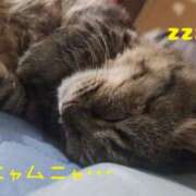 ヒメ日記 2026/09/04 12:58 投稿 綾瀬ゆう 五十路マダム 浜松店(カサブランカグループ)