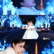 ゆかり 緊急…！！ ルピナス