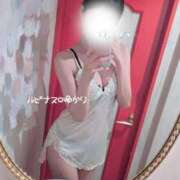 ゆかり 初めて…？ ルピナス