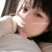 ヒメ日記 2026/02/14 05:15 投稿 ゆかり ルピナス