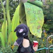 ヒメ日記 2026/01/18 03:05 投稿 ここ【妹系ロリっ子】 STELLA NEXT－ステラネクスト－