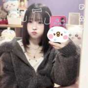 ヒメ日記 2026/01/29 14:08 投稿 ここ【妹系ロリっ子】 STELLA NEXT－ステラネクスト－