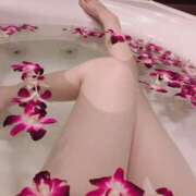 加納 完売ありがとう♡明日だけ特別に… 人妻楼 木更津店