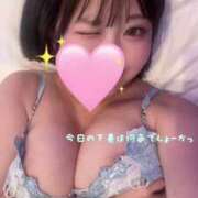 ヒメ日記 2025/09/22 17:57 投稿 瀬乃しずく 五反田ウルトラファンタジー