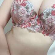 ヒメ日記 2025/11/09 11:33 投稿 りんか かりんと秋葉原