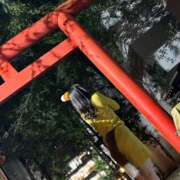 増田あすな 11月末🦊♡ ワイフコレクション