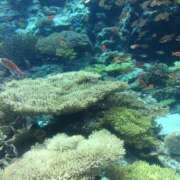 ヒメ日記 2025/08/24 12:30 投稿 守屋 ひびき 人妻セレブ宮殿