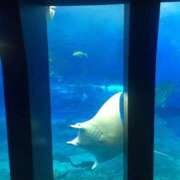 ヒメ日記 2025/08/24 13:45 投稿 守屋 ひびき 人妻セレブ宮殿