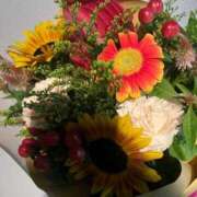 ヒメ日記 2025/08/31 15:55 投稿 守屋 ひびき 人妻セレブ宮殿