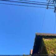 守屋 ひびき ちょっと出先で💦 人妻セレブ宮殿