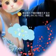 ヒメ日記 2025/09/26 17:20 投稿 花江瑠夏(はなえるか) 五十路マダムエクスプレス厚木店(カサブランカグループ)