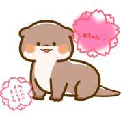 ヒメ日記 2025/10/21 15:10 投稿 花江瑠夏(はなえるか) 五十路マダムエクスプレス厚木店(カサブランカグループ)