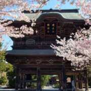 ヒメ日記 2026/01/31 09:46 投稿 花江瑠夏(はなえるか) 五十路マダムエクスプレス厚木店(カサブランカグループ)