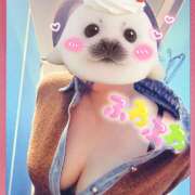 ヒメ日記 2026/02/20 19:44 投稿 花江瑠夏(はなえるか) 五十路マダムエクスプレス厚木店(カサブランカグループ)