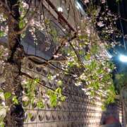 ヒメ日記 2026/05/03 10:10 投稿 花江瑠夏(はなえるか) 五十路マダムエクスプレス厚木店(カサブランカグループ)