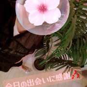 花江瑠夏(はなえるか) イケオジがエロに変わるまで… 五十路マダムエクスプレス厚木店(カサブランカグループ)