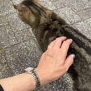 ヒメ日記 2025/12/28 10:40 投稿 山北一乃 五十路マダム姫路店