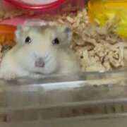 山北一乃 姫路に 五十路マダム姫路店