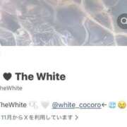 こころ 🧊😢🙏🏻 The White