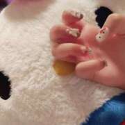 ヒメ日記 2025/11/26 23:15 投稿 ゆい びくびくサークル五反田店