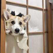 ヒメ日記 2025/08/29 16:21 投稿 らい 東京♂風俗の神様 町田・相模原店