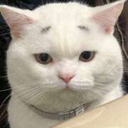 ヒメ日記 2025/08/31 12:41 投稿 らい 東京♂風俗の神様 町田・相模原店