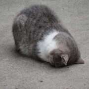 ヒメ日記 2025/09/01 15:01 投稿 らい 東京♂風俗の神様 町田・相模原店