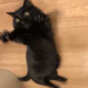 ヒメ日記 2025/09/08 17:51 投稿 らい 東京♂風俗の神様 町田・相模原店