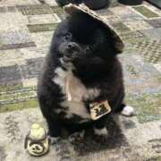 ヒメ日記 2025/09/21 20:01 投稿 らい 東京♂風俗の神様 町田・相模原店