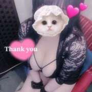 らい 2日連続ご予約完売🌱𓂃 𓈒𓏸 東京♂風俗の神様 町田・相模原店