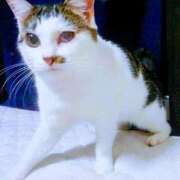 ヒメ日記 2025/08/15 12:47 投稿 門別(モンベツ) 鶯谷デッドボール