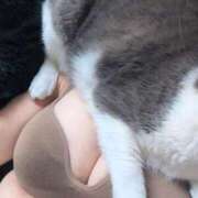 ヒメ日記 2025/11/09 09:39 投稿 門別(モンベツ) 鶯谷デッドボール