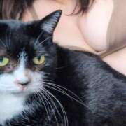 門別(モンベツ) 今日からイベントです 鶯谷デッドボール