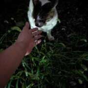 門別(モンベツ) 嫌がりすぎじゃない？ 鶯谷デッドボール